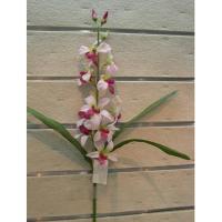 79CM SINGAPORE ORCHID SPRAY